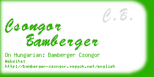 csongor bamberger business card
